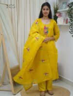 Kota parrot Embroidered Kurti Set with Dupatta - Image 2